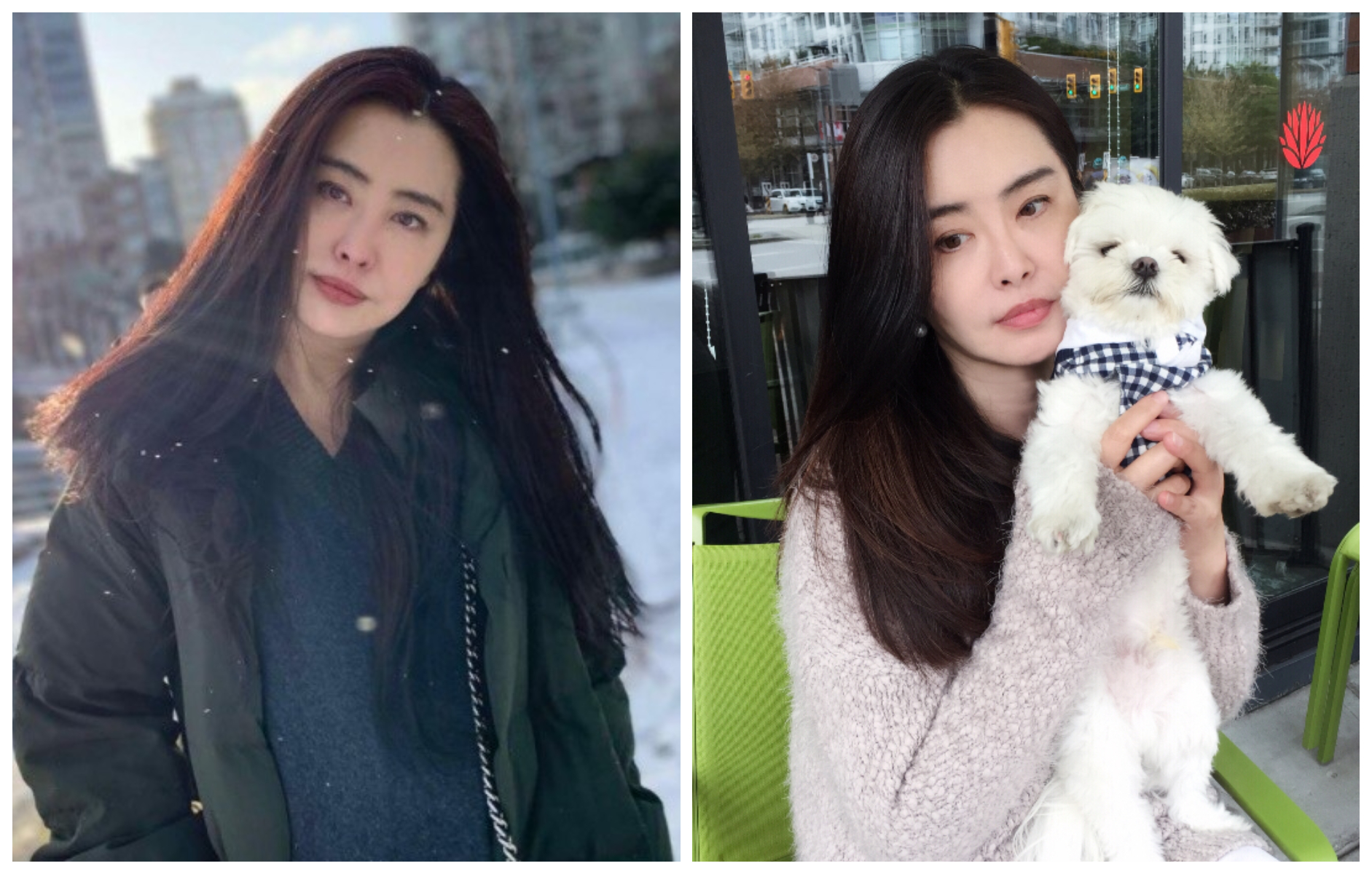 王祖賢息影後，定居溫哥華多年。（翻攝百度王祖賢吧）