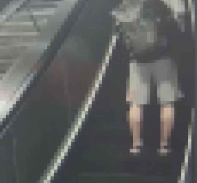 佐佐木貴法今年6月才在中山站偷拍女性裙底被逮。（翻攝畫面）