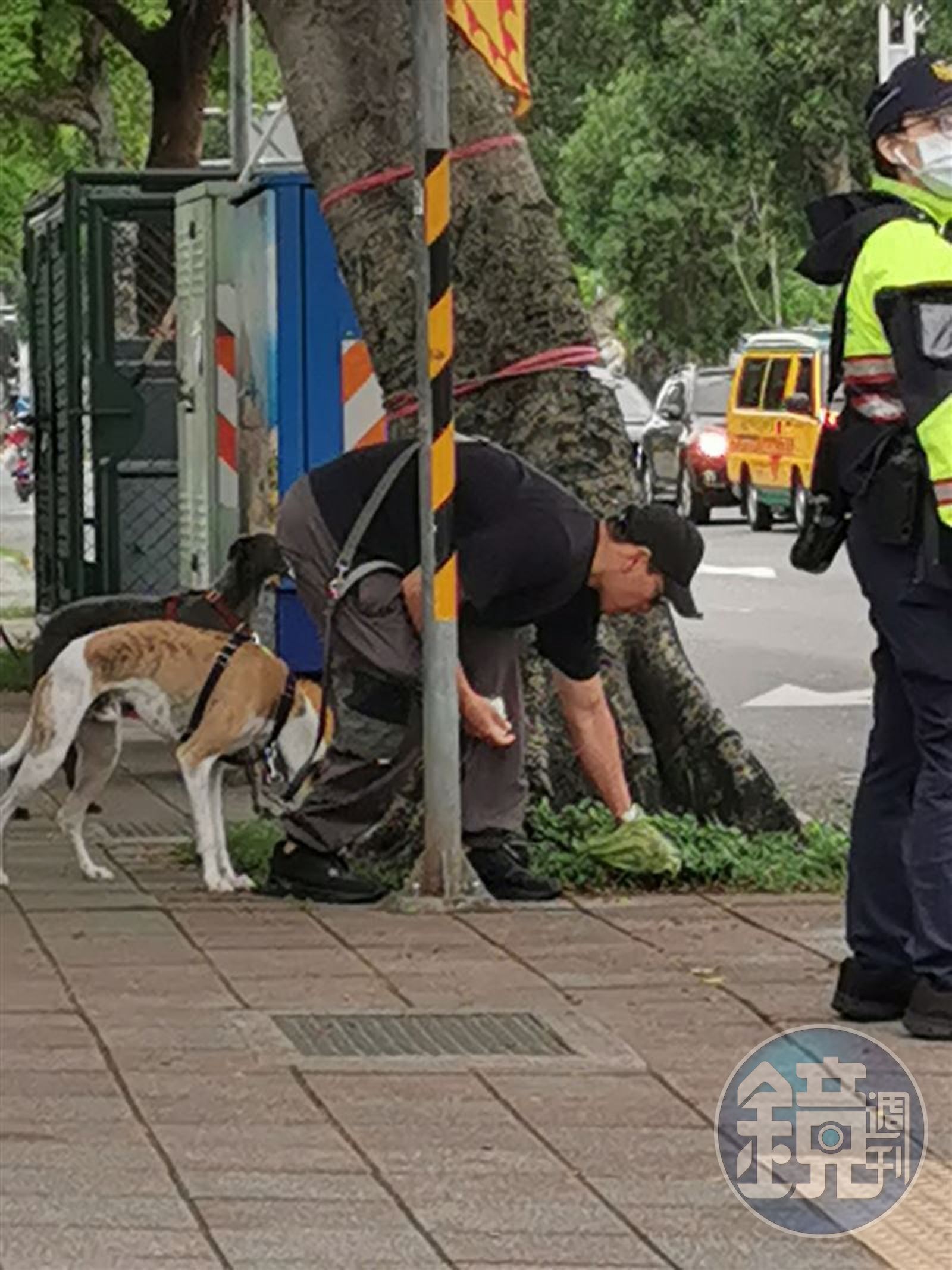 遛狗公德心很重要,彭于晏遛狗時也會順手清除狗狗排泄物,男神彎腰撿狗屎就是帥。(翻攝自靠北天母幫臉書)
