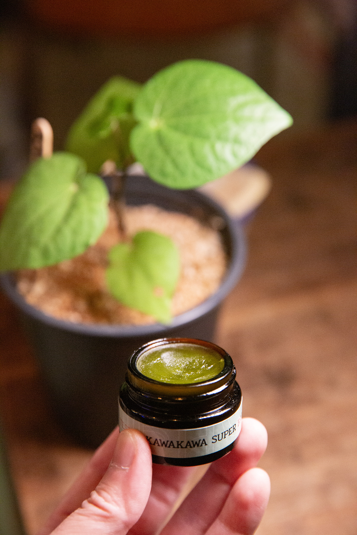 以紐西蘭原生植物Kawakawa為特色的萬用膏,搭配植物油製成,適合關注草本成分與日常肌膚保養的旅客。