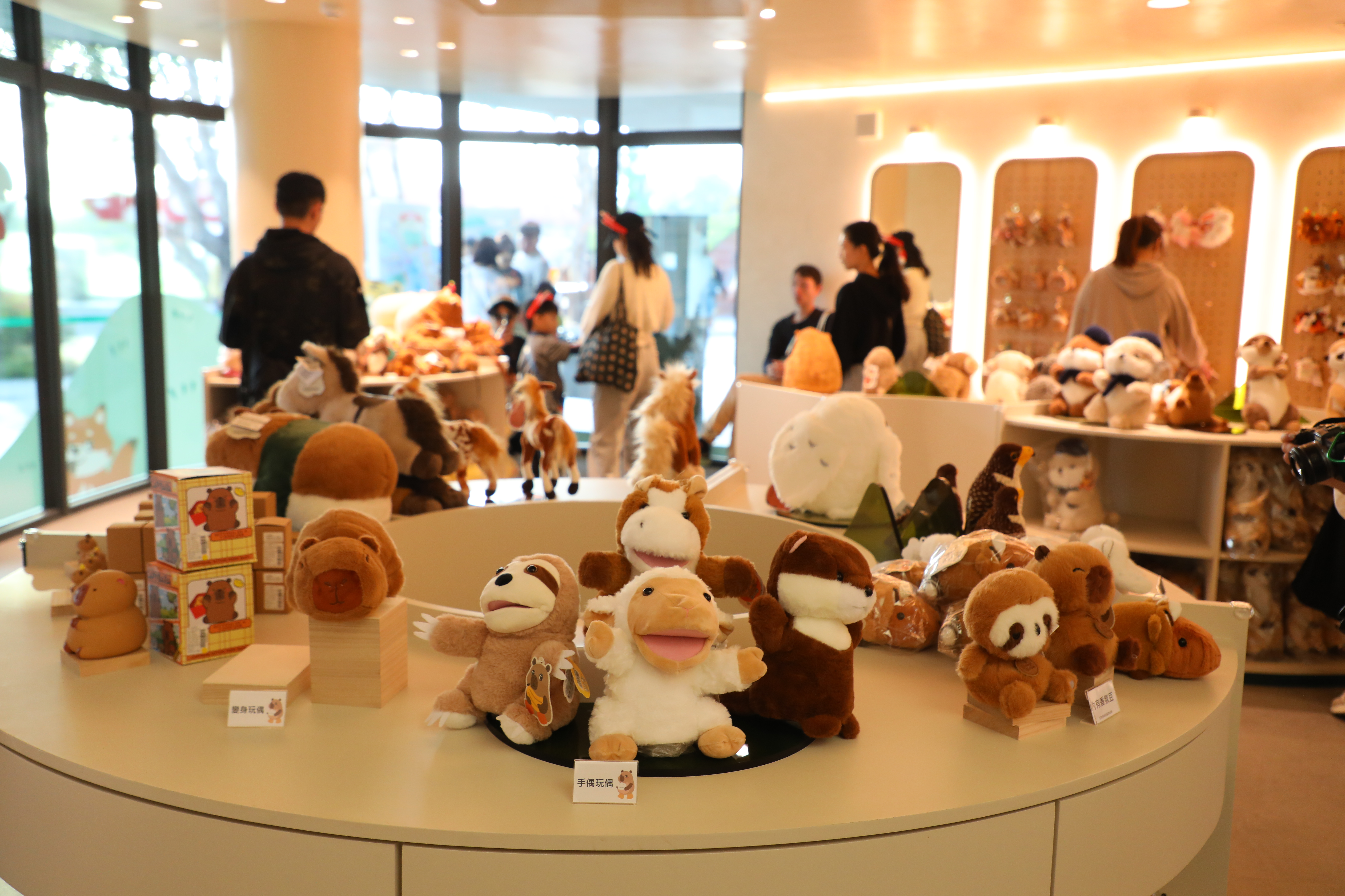 紀念品店裡陳列各式園區動物周邊,遊客可以挑選一隻帶回家作紀念。