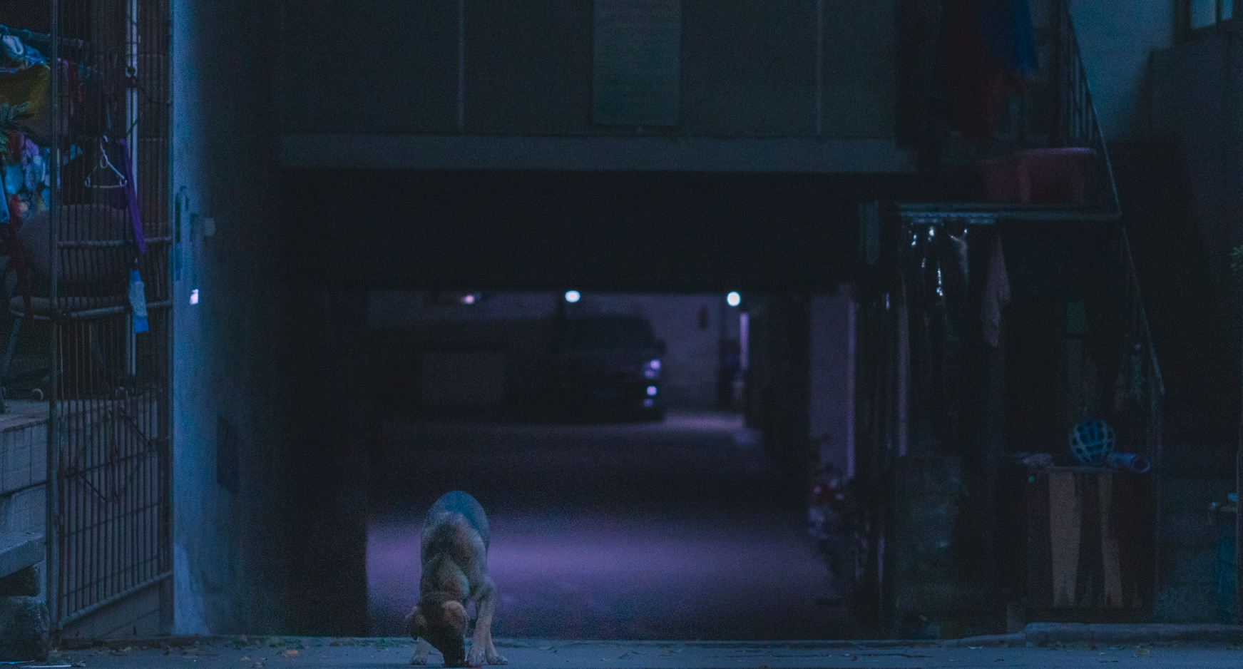 一名網友某天清晨4點準備出門上班，原本要去牽停在一樓外停車格的機車，卻下意識搭電梯到地下室，還聽見後方傳來踩寶特瓶的聲音。示意圖（東方IC）