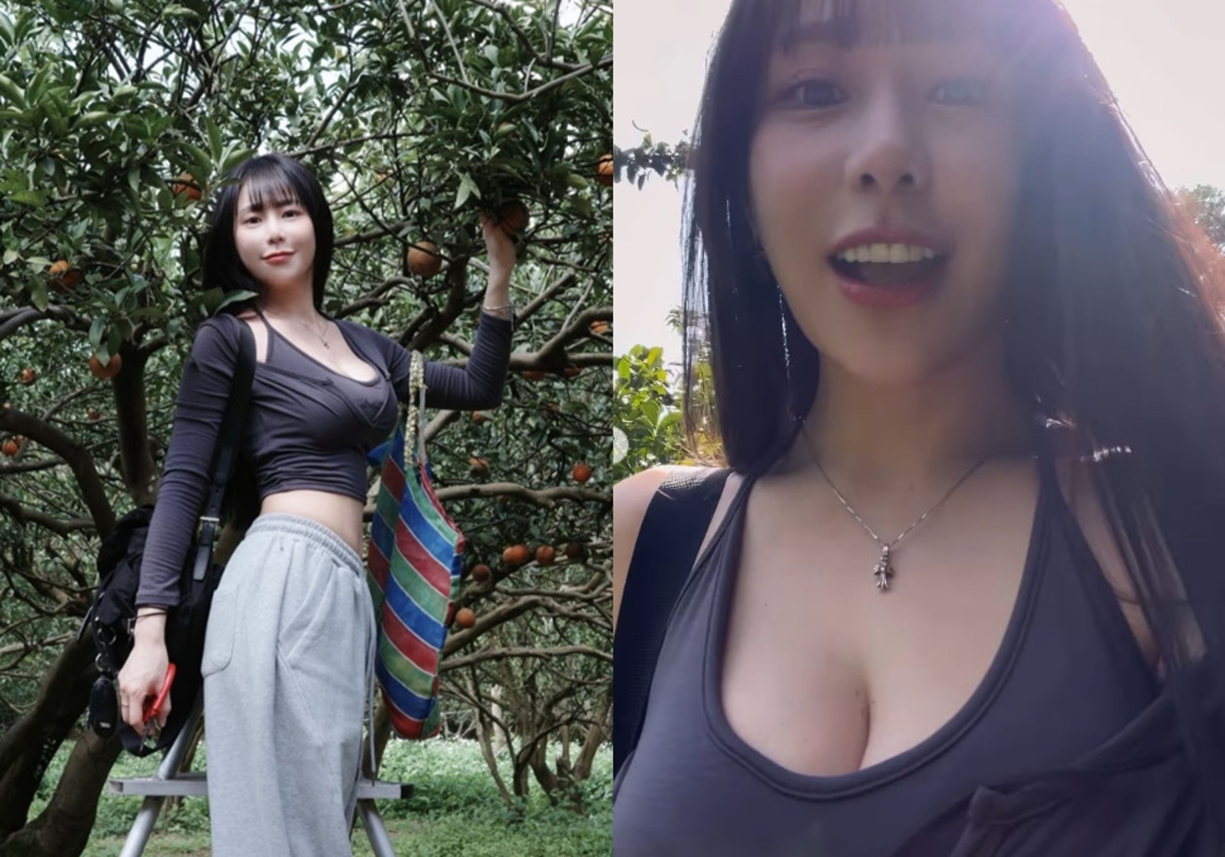 梓梓穿低胸深V上衣體驗採果樂，深邃乳溝成網友注目焦點。（翻攝IG@t40533）