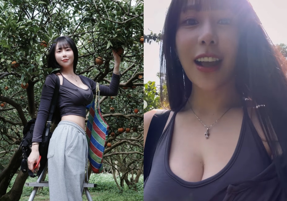 梓梓穿低胸深V上衣體驗採果樂，深邃乳溝成網友注目焦點。（翻攝IG@t40533）