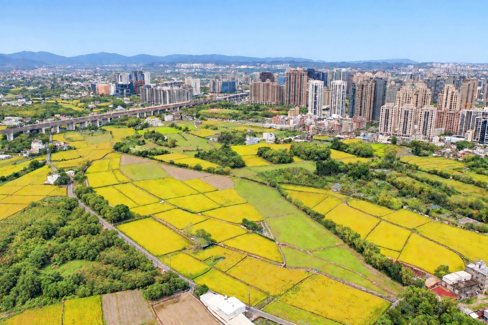 竹縣以「科技首都」聞名,更深具「農業強縣」的實力,兩大引擎並肩前行,帶動工商產業與新創團隊蓬勃發展。