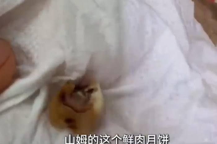 顧客指控家人在月餅內吃到牙齒,沒想到業者接獲投訴竟改標繼續賣。(翻攝微博)