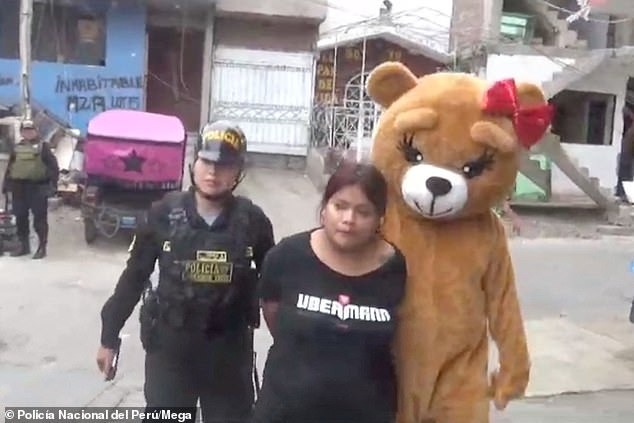 熊特警逮捕了女藥頭。（翻自《每日郵報》）