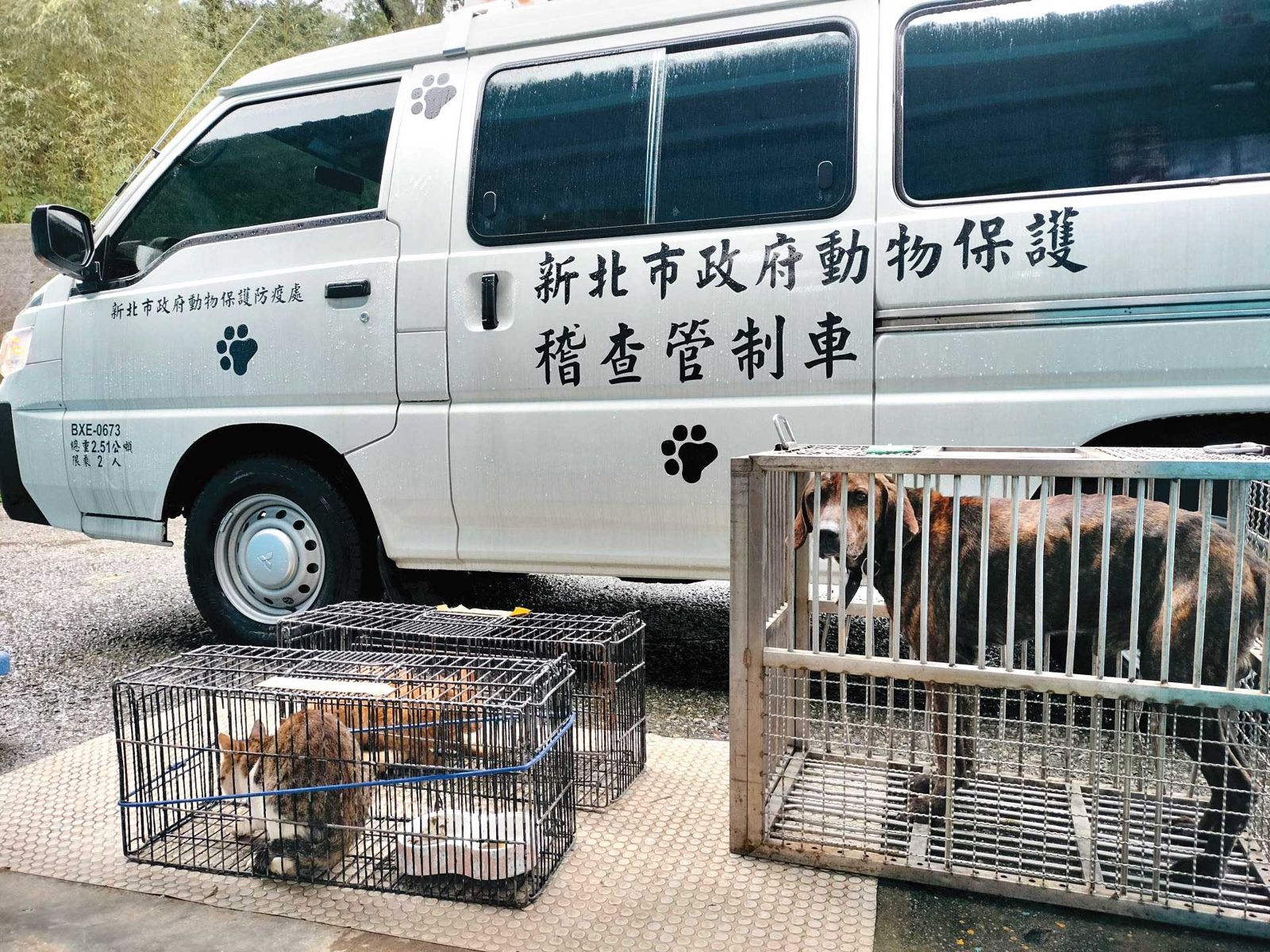 新北市動保處廠商曾因公務車問題,與市府人員發生口角。(示意圖,翻攝新北市動保處官網)