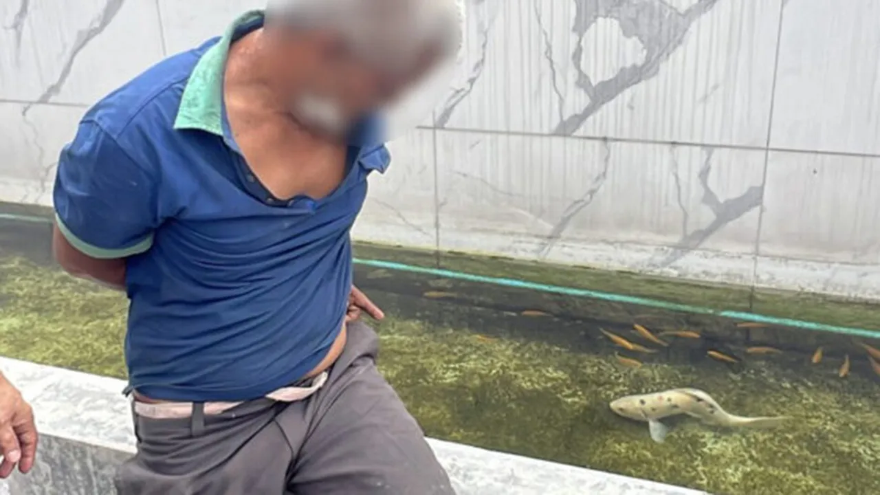 一名51歲男子深夜騎乘自行車闖入一處民宅，脫光全身衣物進入魚池，並捕捉池內的鯉魚進行性侵。（翻攝自Khaosod）