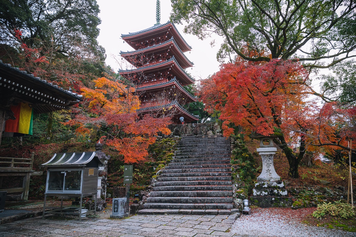 酒紅色的五重塔是竹林寺的地標。