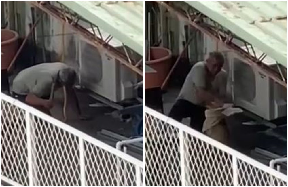 男子拿棒子打狗（左圖），又用布勒住狗的脖子（右圖）。（翻攝畫面）