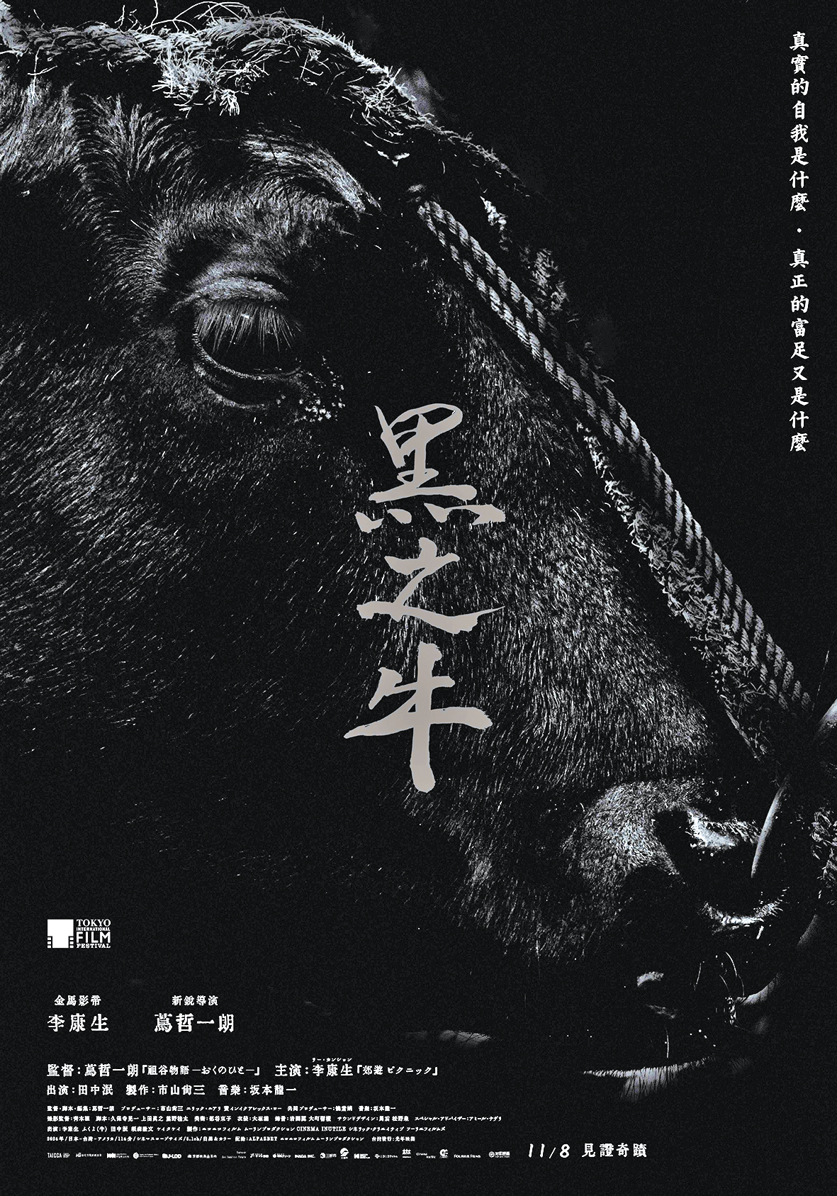 《黑之牛》（Black Ox）