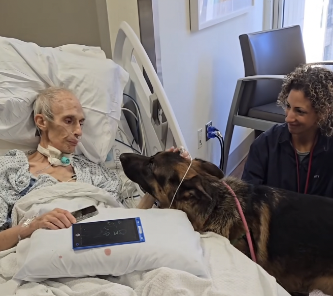 紐約醫療團隊暖心促成臨終重逢，圓了病患最後的牽掛。（翻攝自臉書＠NYC Second Chance Rescue）