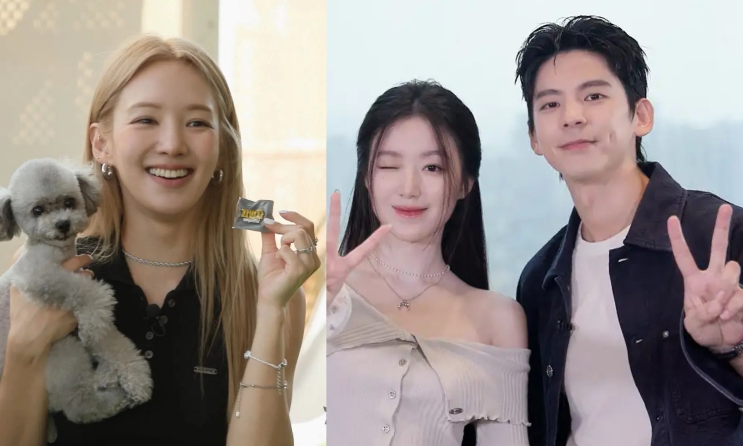 舒華《鑑定師》talk concert再公布嘉賓，少女時代孝淵與林柏宏都將出席。（翻攝鑑定師 YT）