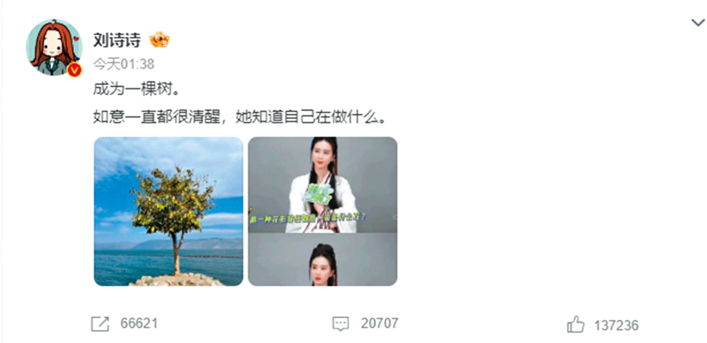 婚變疑雲當頭，劉詩詩在微博的發言引來各種正負揣測。（翻攝自劉詩詩微博）