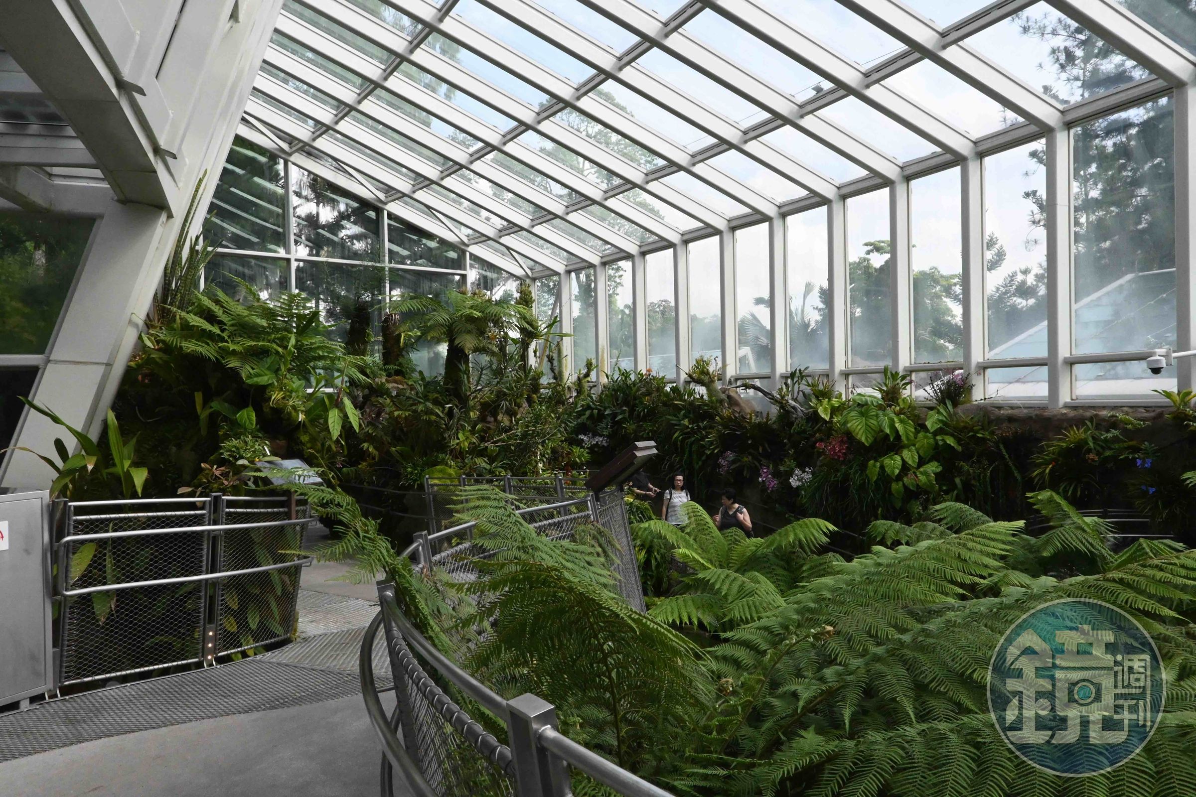 「Sembcorp Cool House」館內以冷氣、霧氣與瀑布模擬熱帶高山森林環境。