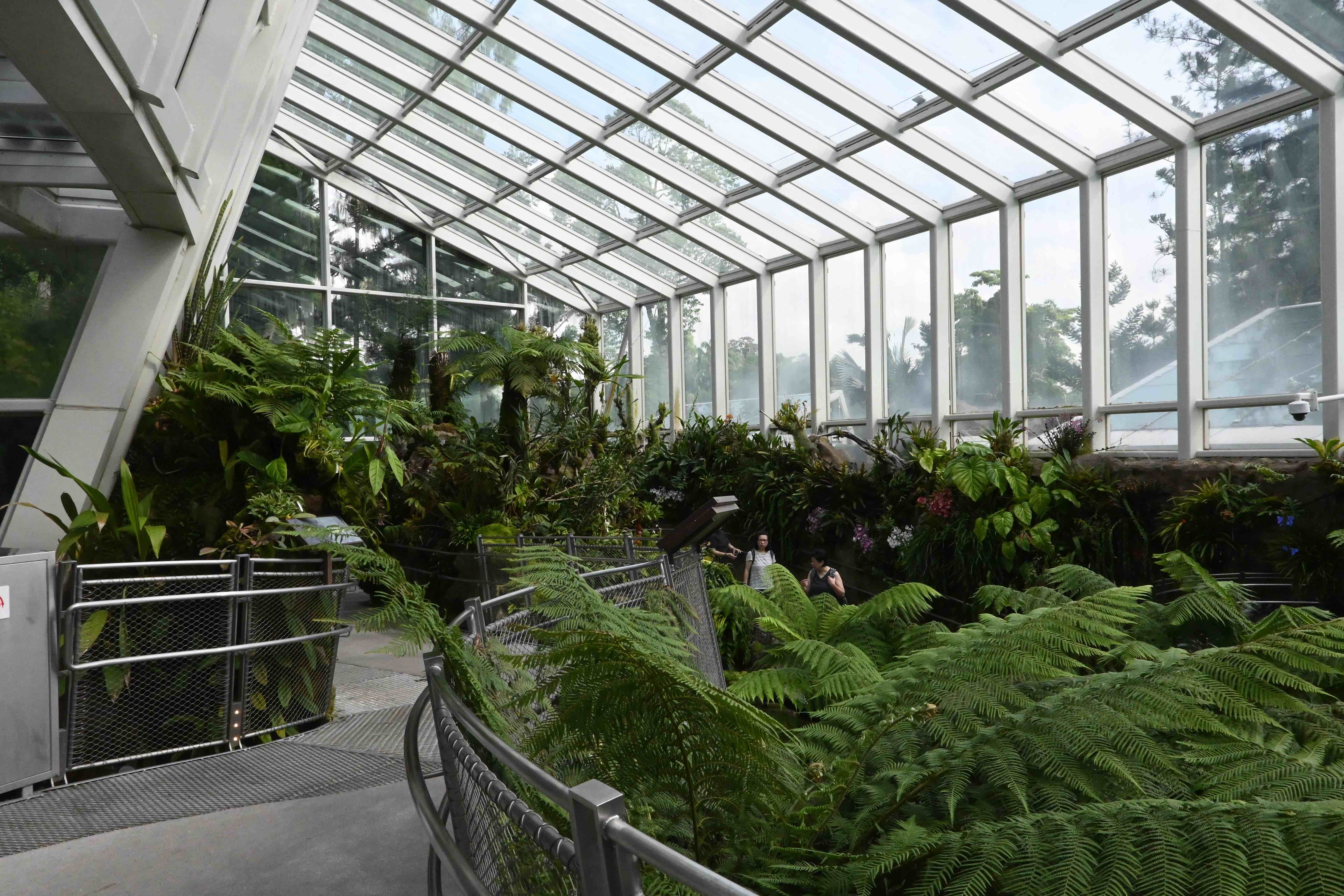 「Sembcorp Cool House」館內以冷氣、霧氣與瀑布模擬熱帶高山森林環境。