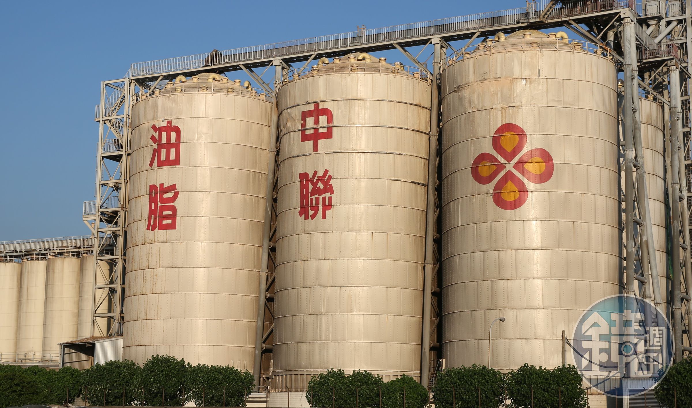 中聯油脂的大豆沙拉油苯駢芘超標，風波持續延燒。（本刊資料照）
