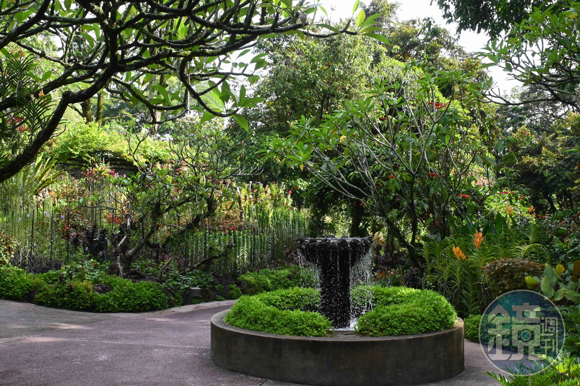 新加坡植物園占地82公頃、約24.8萬坪，園區幅員廣大，一天無法全部逛完。