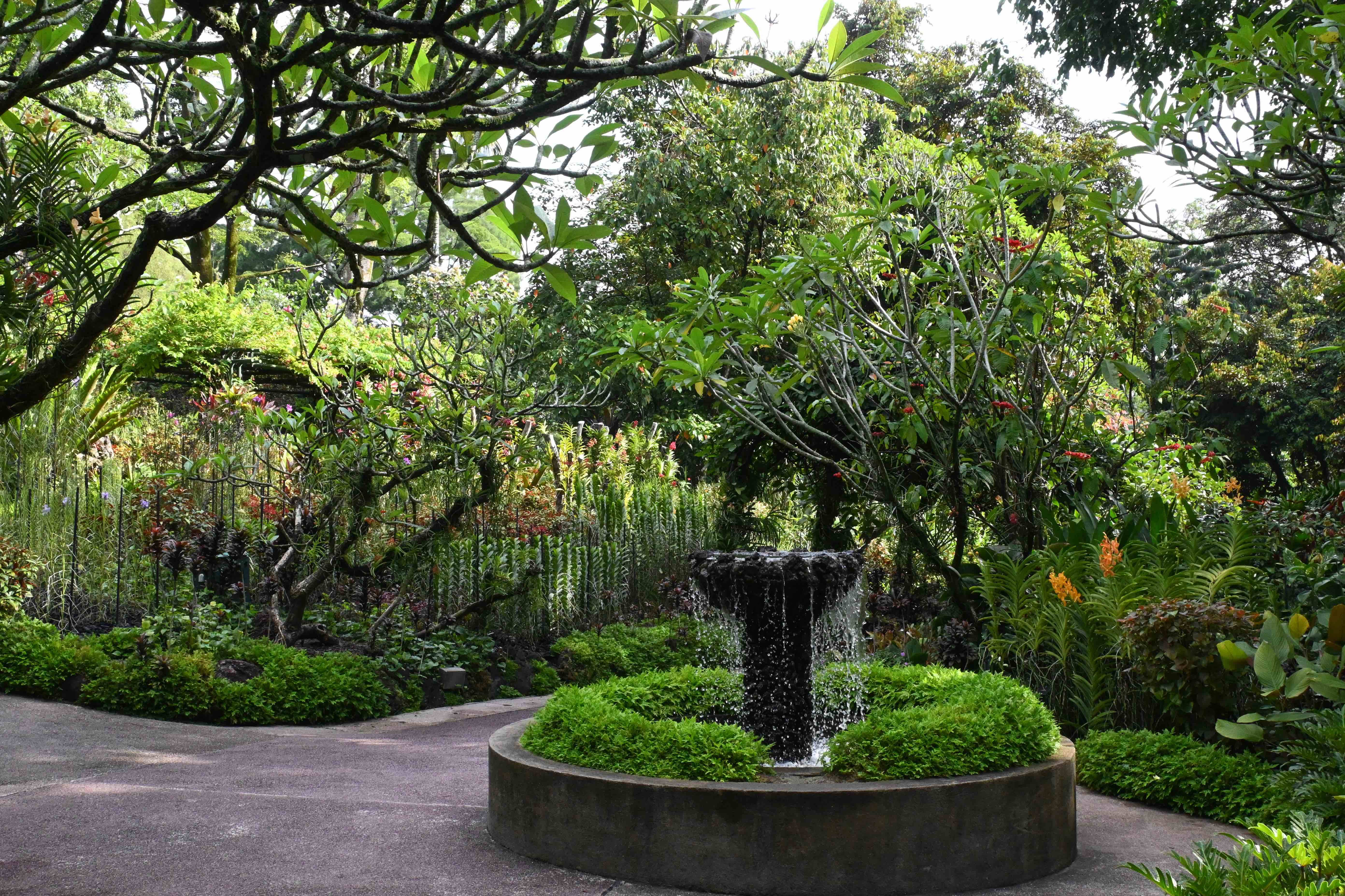 新加坡植物園占地82公頃、約24.8萬坪,園區幅員廣大,一天無法全部逛完。