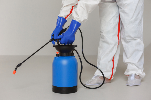 台北市環保局提醒，民眾若有害蟲防治需求，應選擇合格的專業病媒防治業者，才能除蟲又確保居家環境安全。（示意圖，photoAC）