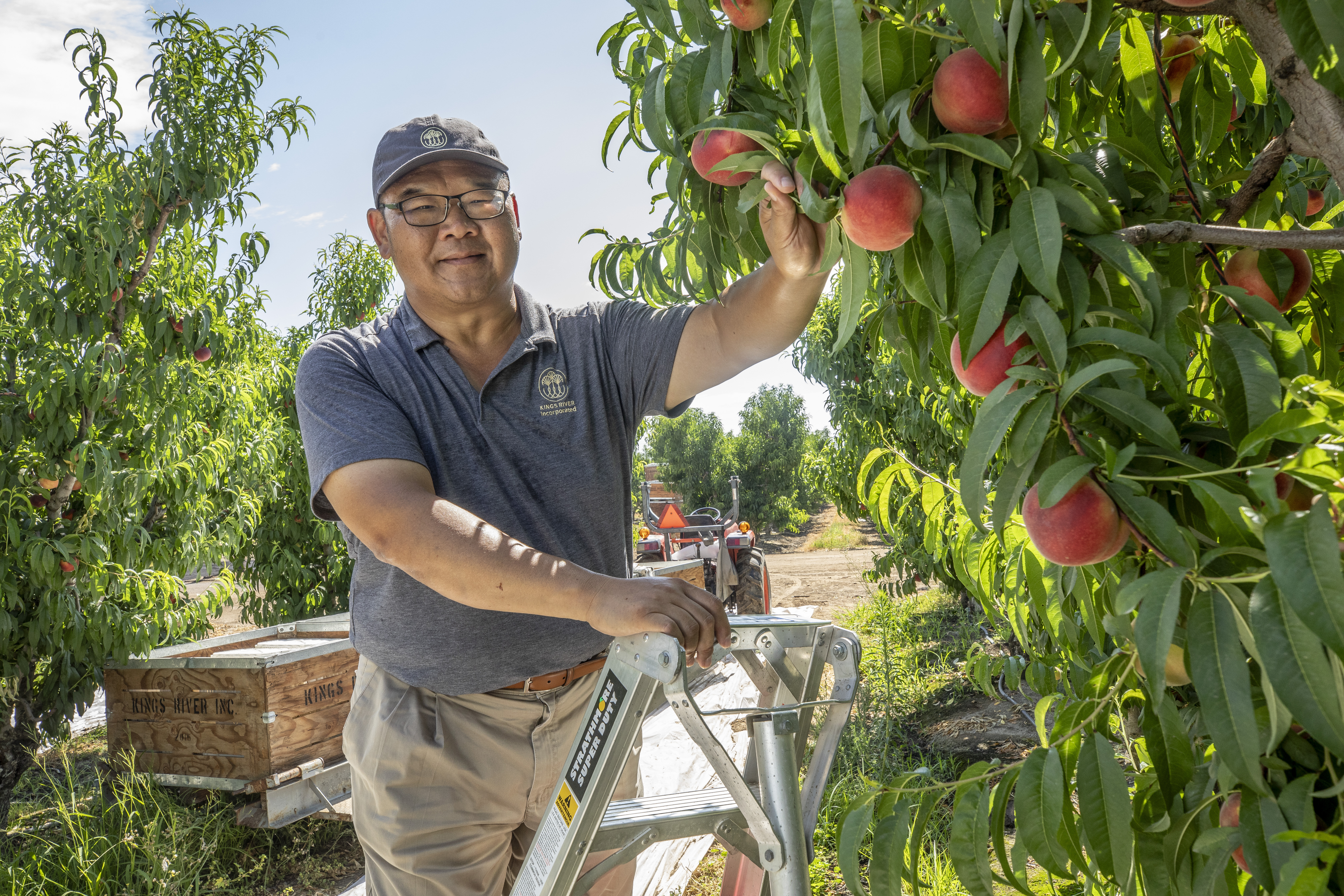 汪松林28年前到美國做水果貿易，為掌控品質，在中加州購地自種水蜜桃，如今種出精品等級，是台灣進口量第二大。