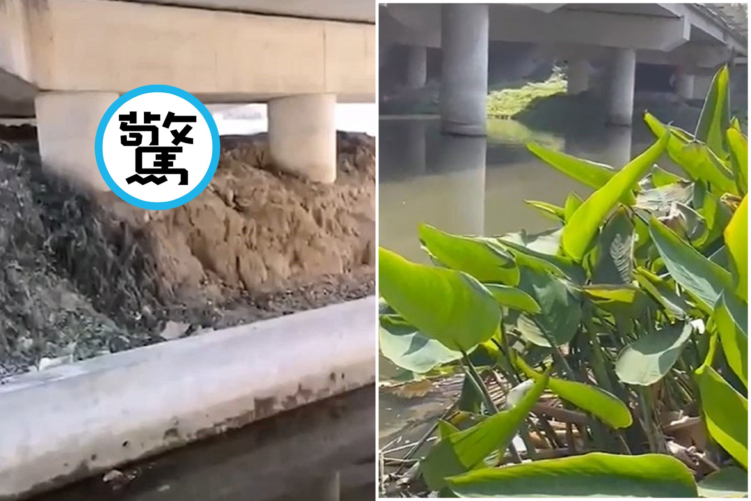 釣魚釣到「老司機野戰」，男直擊痛罵飆髒話。（翻自《黑料網》）