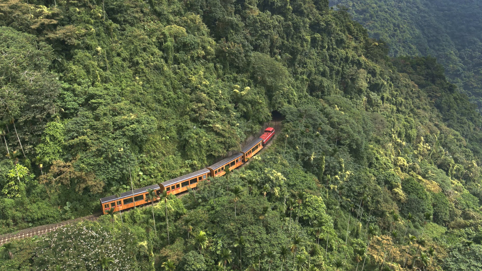 團隊使用空拍機拍攝阿里山林鐵於獨立山的三迴旋爬坡。（公視提供）