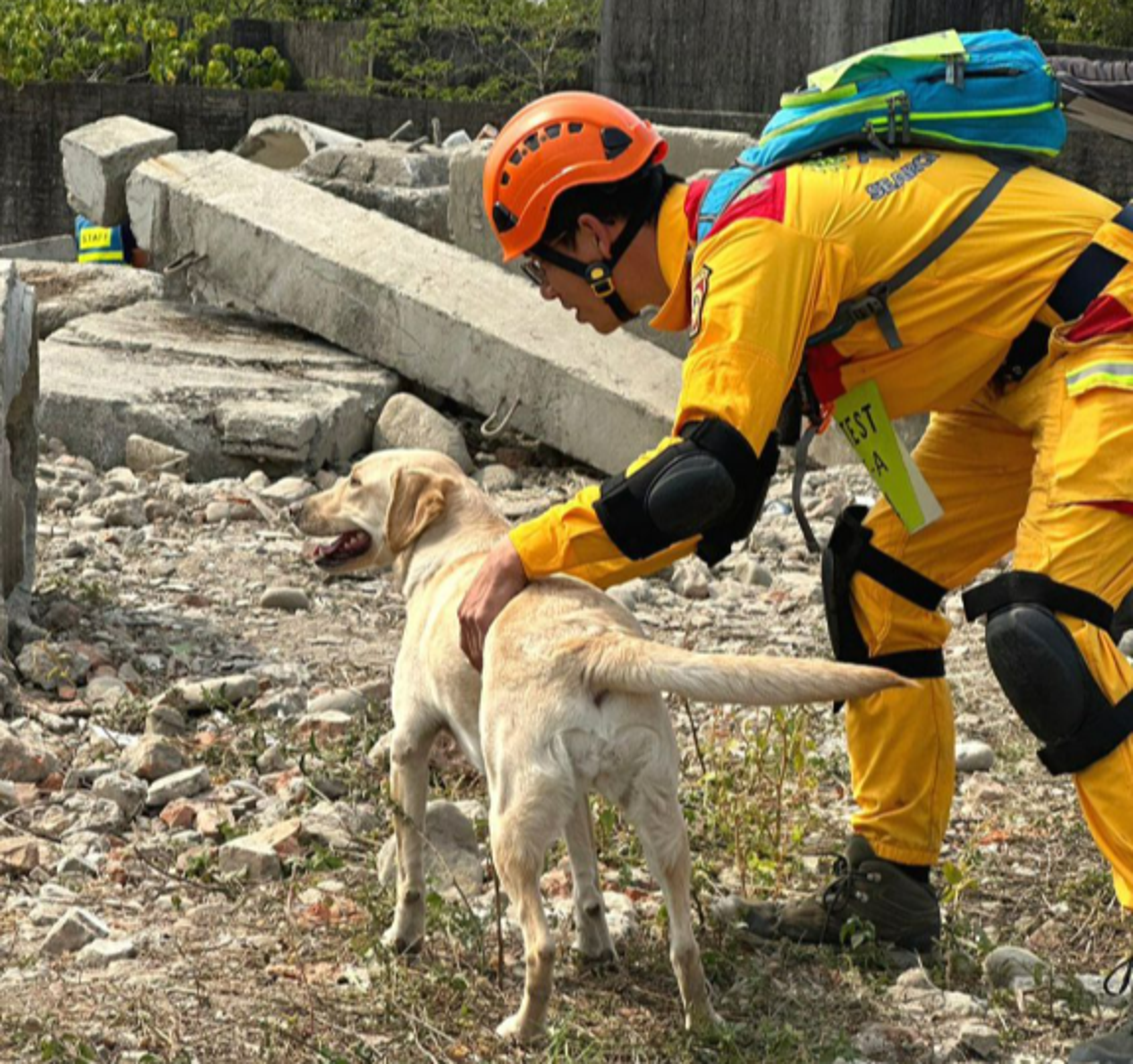 為災害搶救提供實質幫助,消防署將持續推動及整合災害搜救犬的培訓工作,並定期辦理搜救犬評量檢測及研習。(翻攝消防署官網)