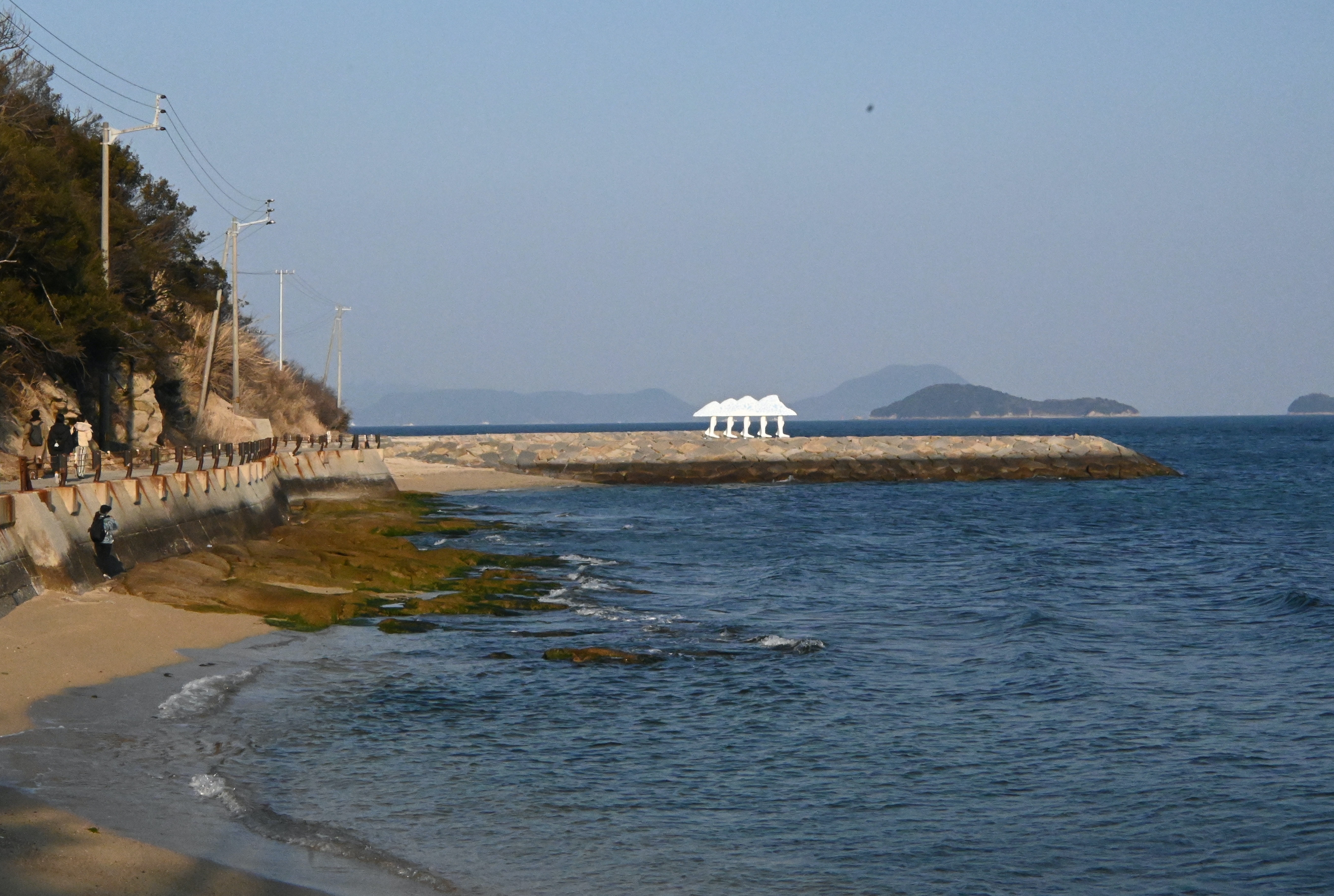 方舟生出了腳準備向大海邁步走去。(Credit:”Walking Ark” Keisuke Yamaguchi)