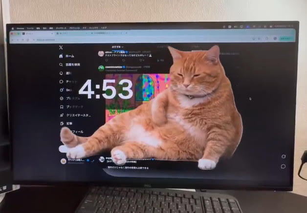 Chrome擴充功能「Cat Gatekeeper」可設定社群網站使用上限時間，一但時間一到，螢幕就會出現巨貓霸佔螢幕，強迫用戶休息。（翻攝X@konekone2026）