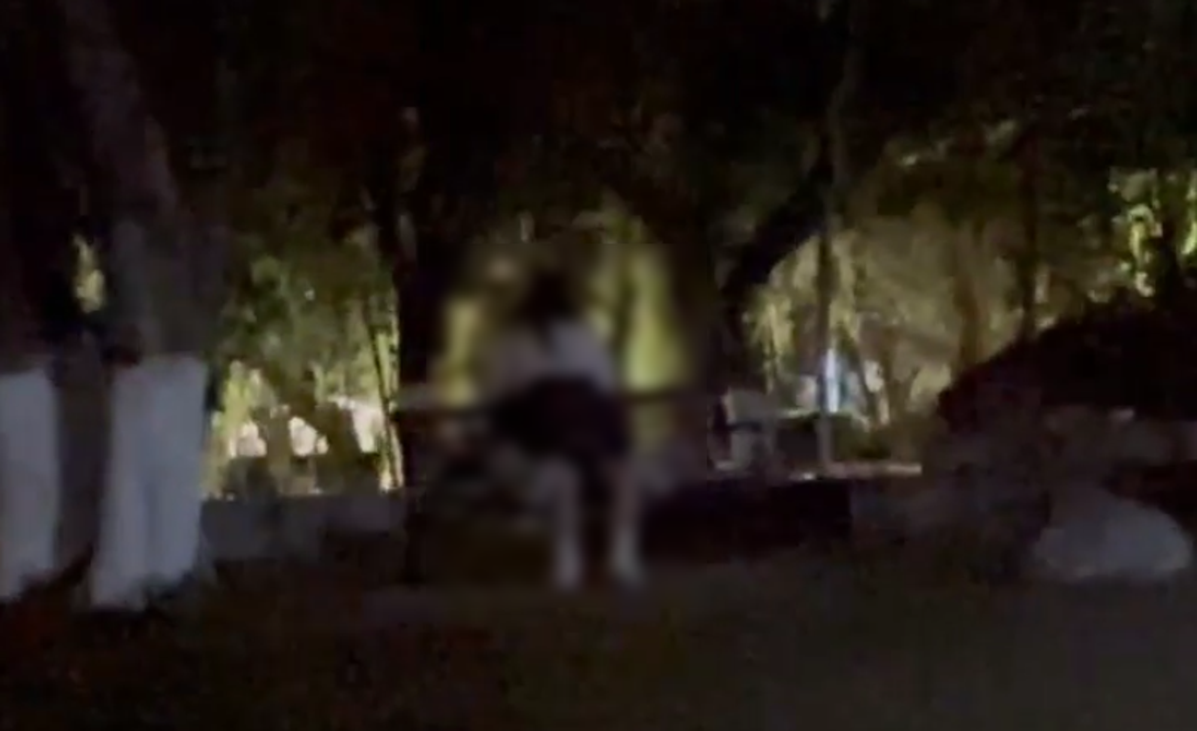 日前這對情侶在公園長椅上愛愛。（翻自tgbrtevfr.top）