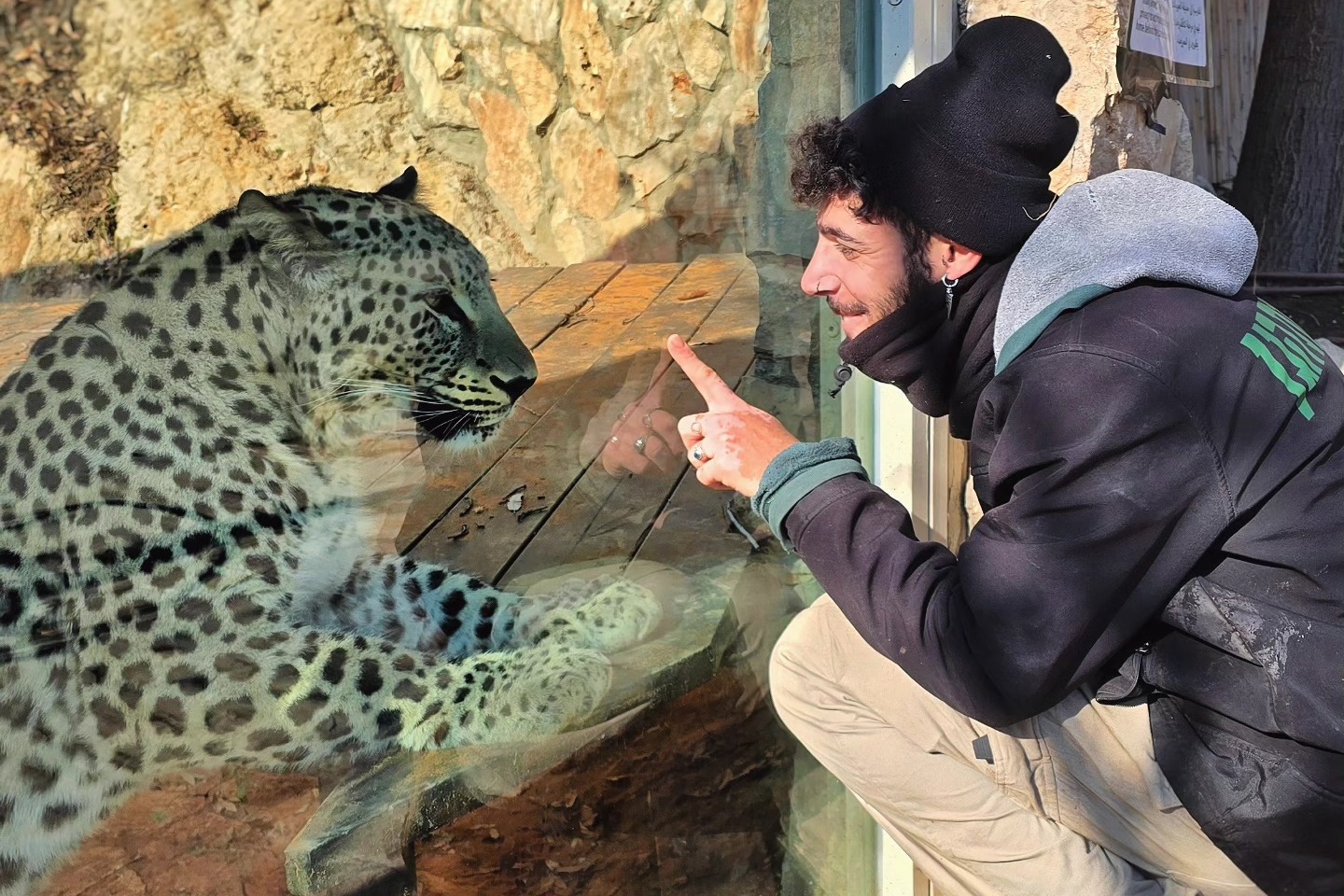耶路撒冷一間動物園員工，被逃脫的花豹攻擊致死。（翻攝自X）