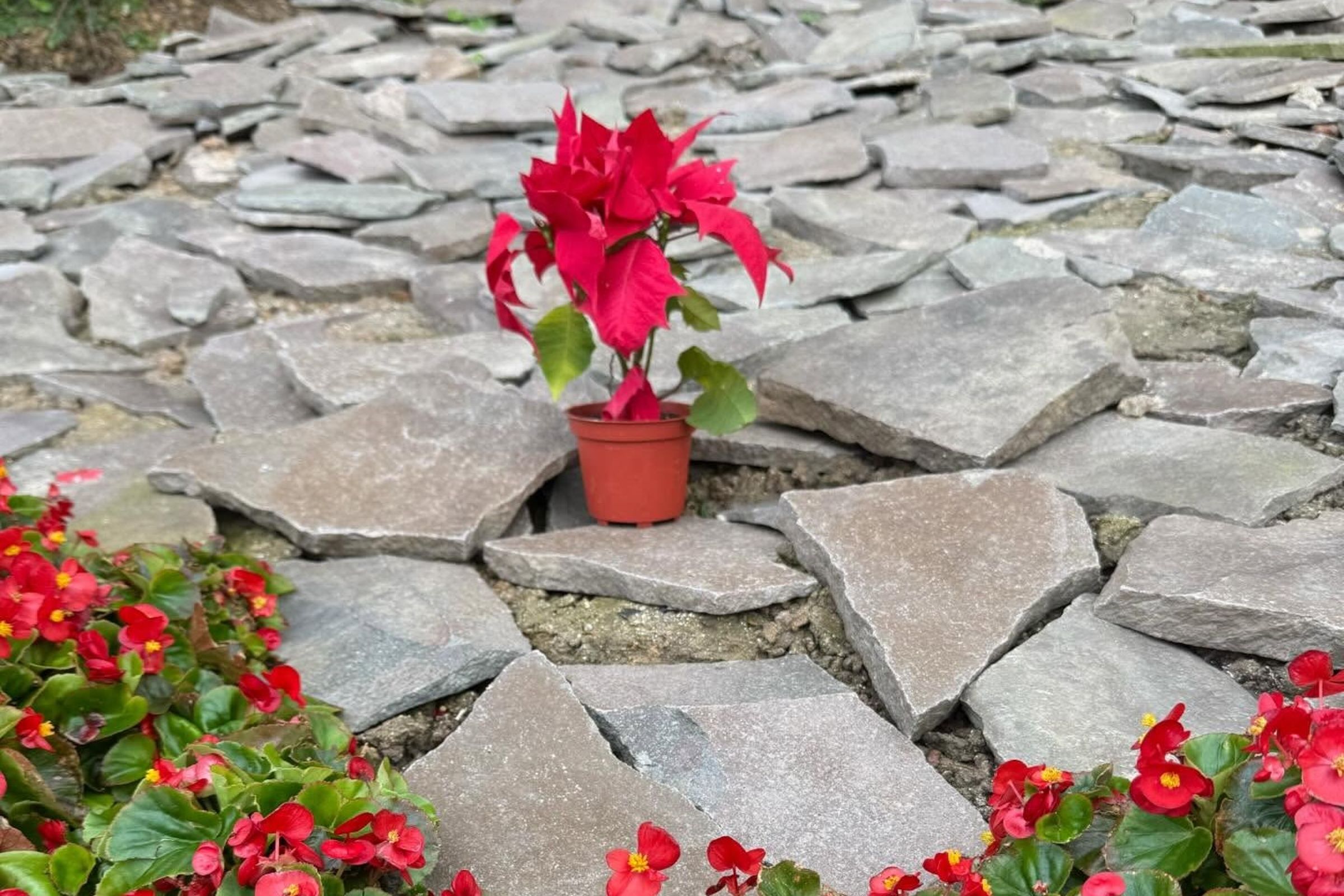 母親在女兒離世49天後到花葬墳前，自責沒能還她一個公道。（翻攝自Threads）