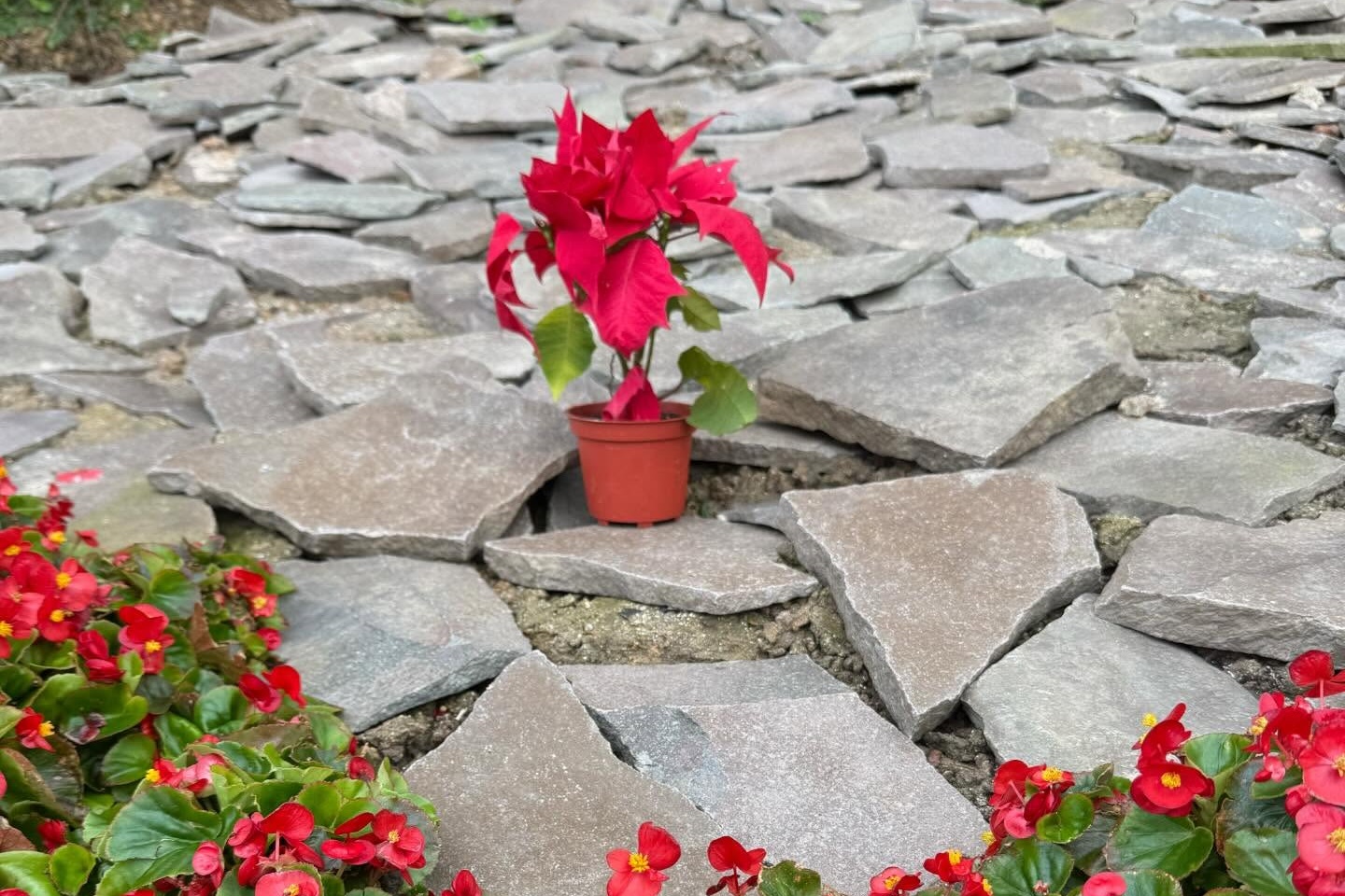 母親在女兒離世49天後到花葬墳前，自責沒能還她一個公道。（翻攝自Threads）