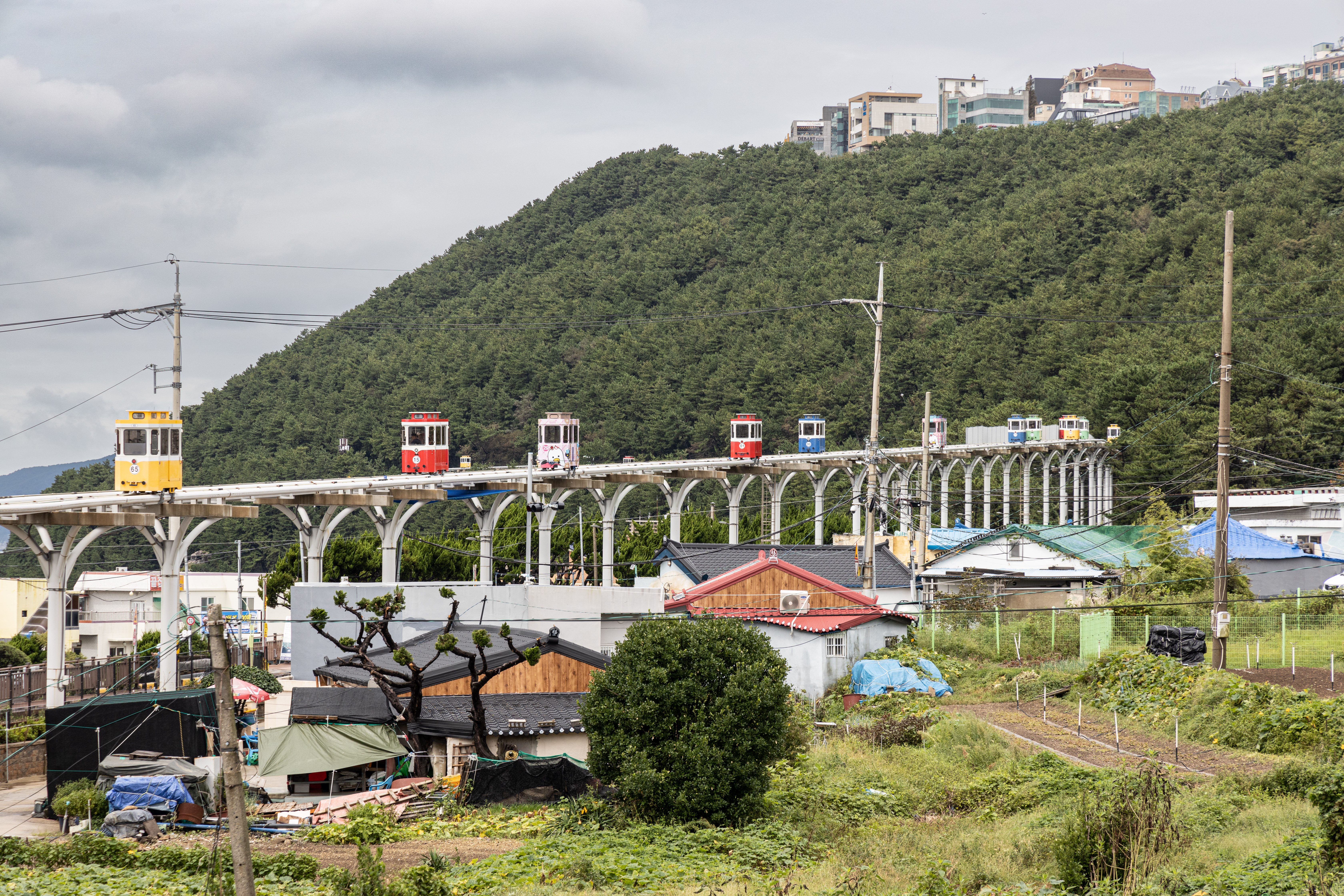 膠囊列車以時速15公里的緩慢節奏，沿著海岸線進入市區。