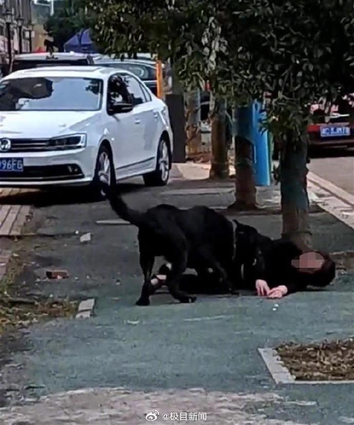 大媽慘遭惡犬當街攻擊。(翻自微博)