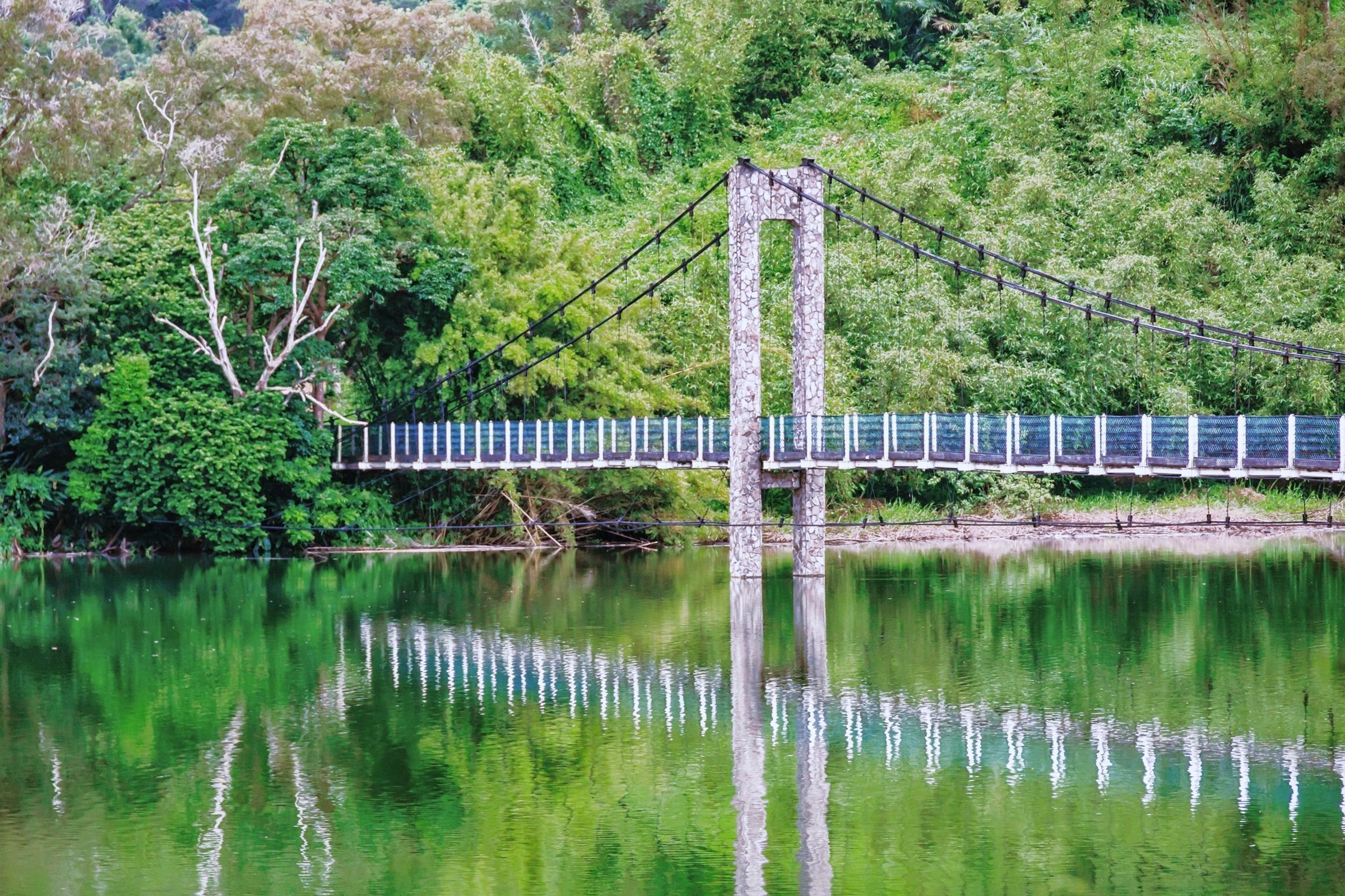 湖邊樹蔭涼爽宜人,可步入吊橋欣賞湖光山色的不同角度。(新竹縣政府提供)