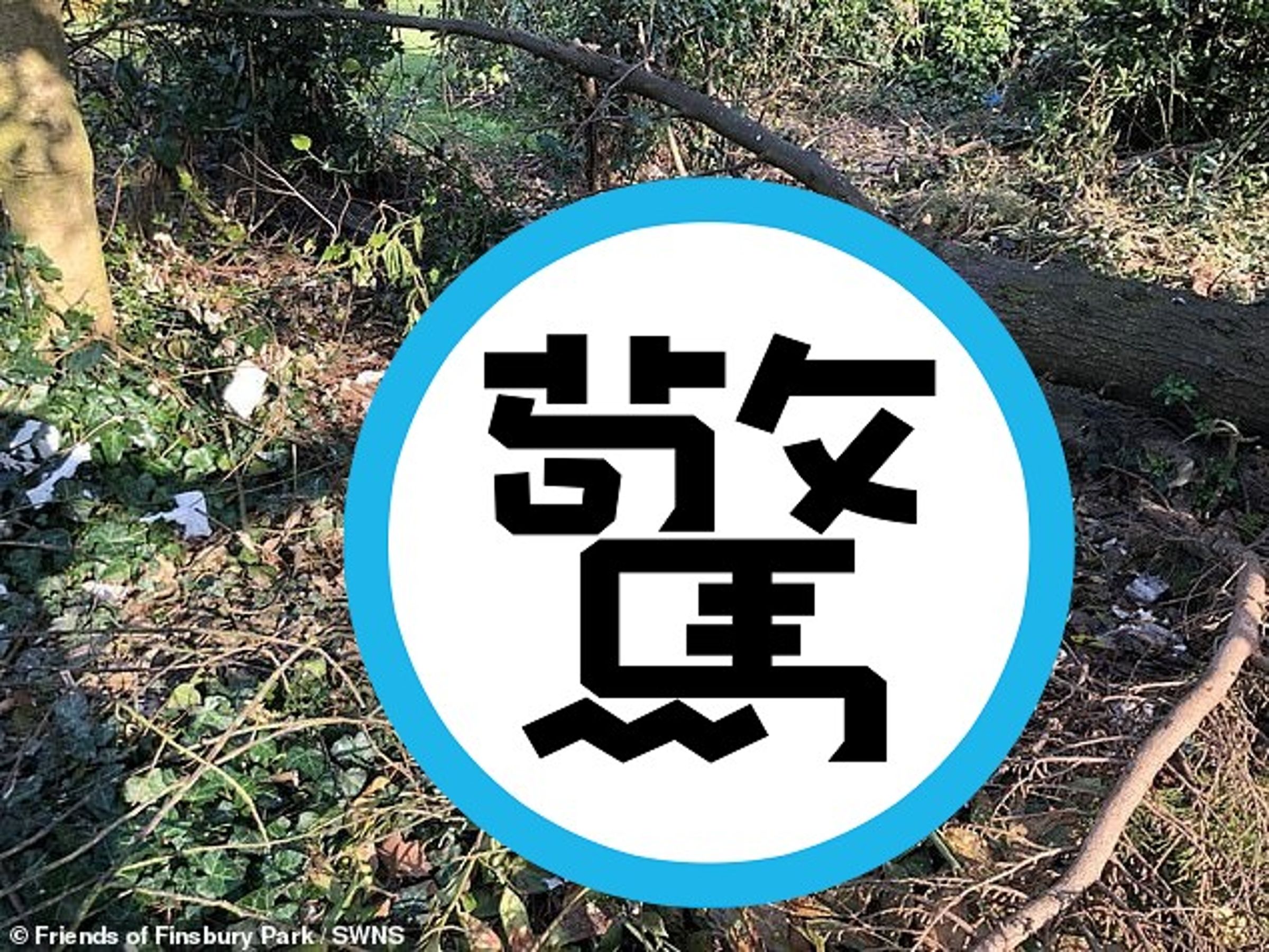 公園變野戰聖地80人群交,滿地保險套破壞生態!居民崩潰。(翻自《每日郵報》)
