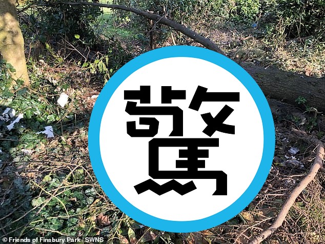 公園變野戰聖地80人群交，滿地保險套破壞生態！居民崩潰。（翻自《每日郵報》）