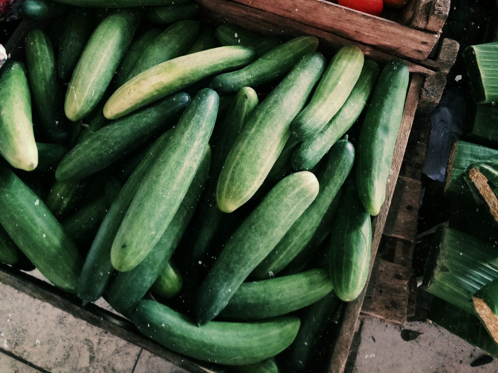 小黃瓜是不少人喜歡的蔬果。（圖／翻攝自Pexels）