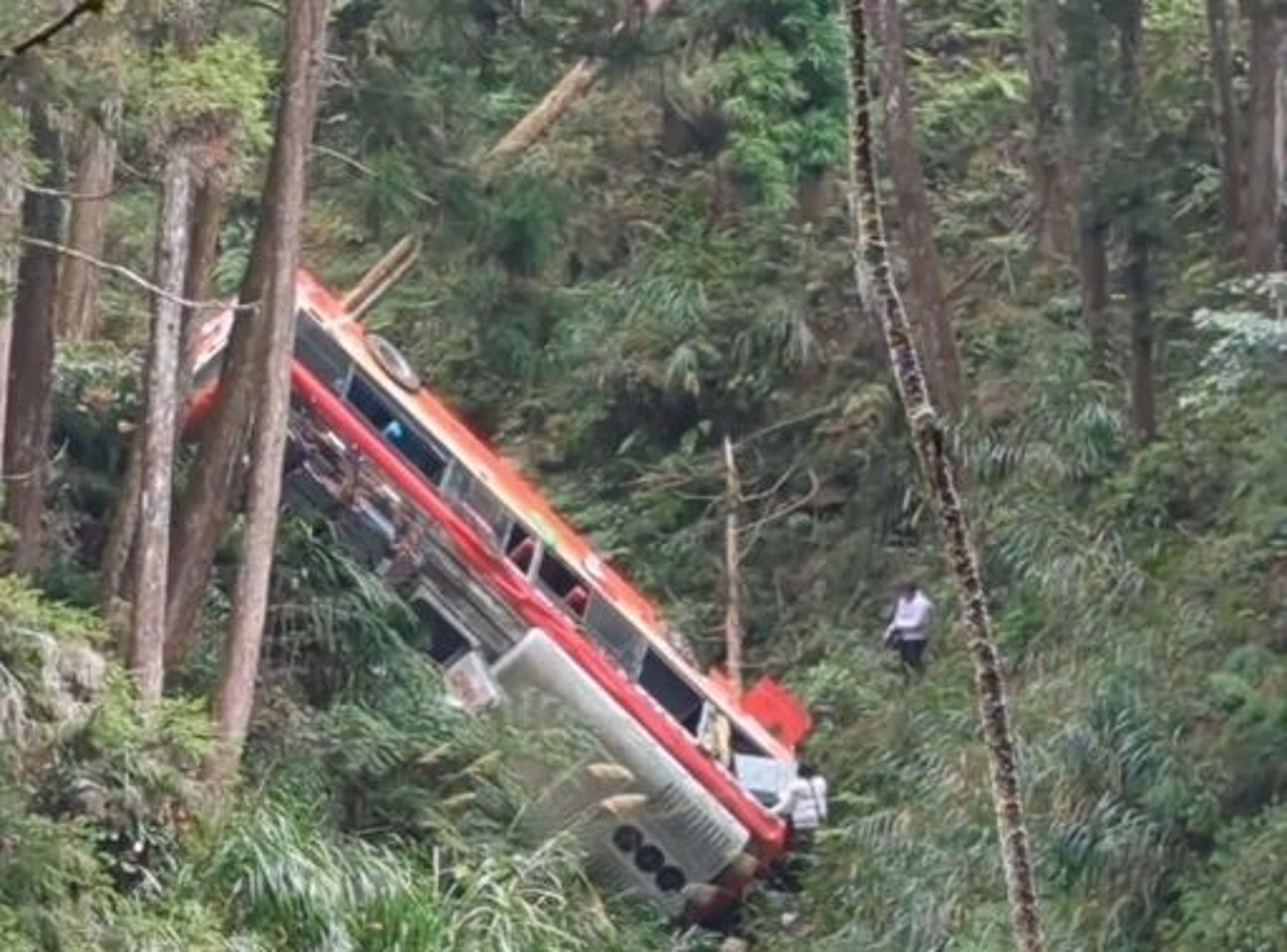 南投竹山鎮杉林溪自然園區花卉中心,稍早驚傳一台遊覽車在園區內墜谷意外。(翻攝自Threads@peng840406)