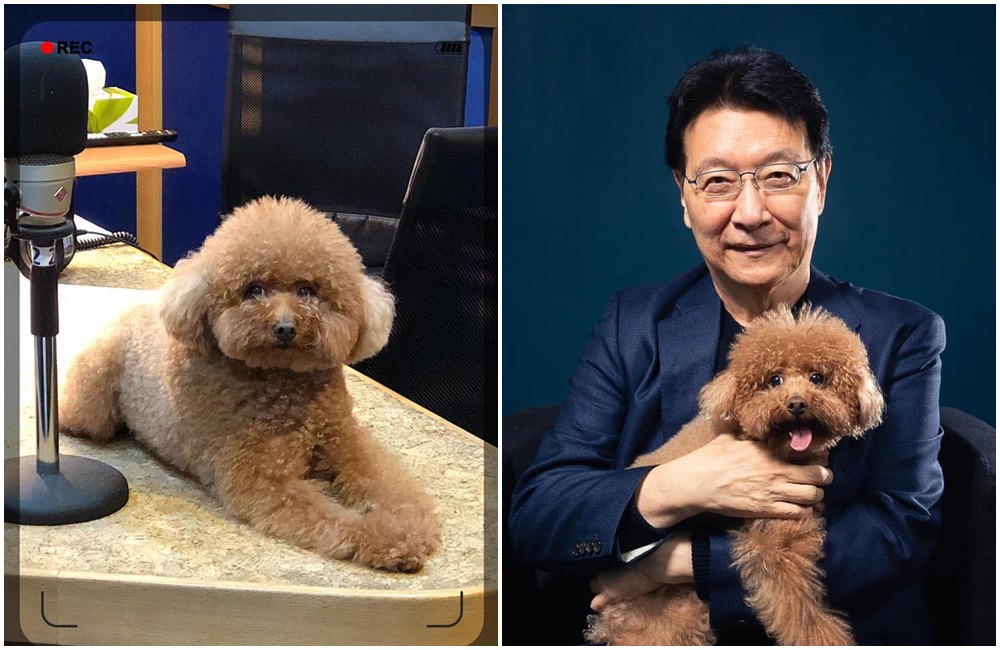 「趙無極」偶爾會陪趙少康上工，家庭地位還超越他。（翻攝自趙少康臉書）