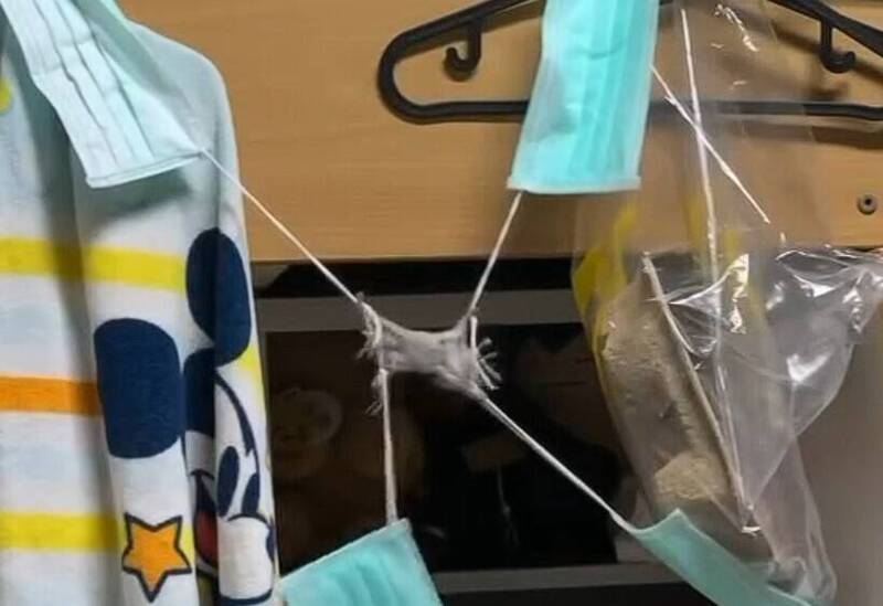 高雄一名陳姓高材生應屆畢業生，涉嫌平均一週虐殺3隻倉鼠致死，引發網友撻伐。（翻攝自Threads@ cheetah.2393592）
