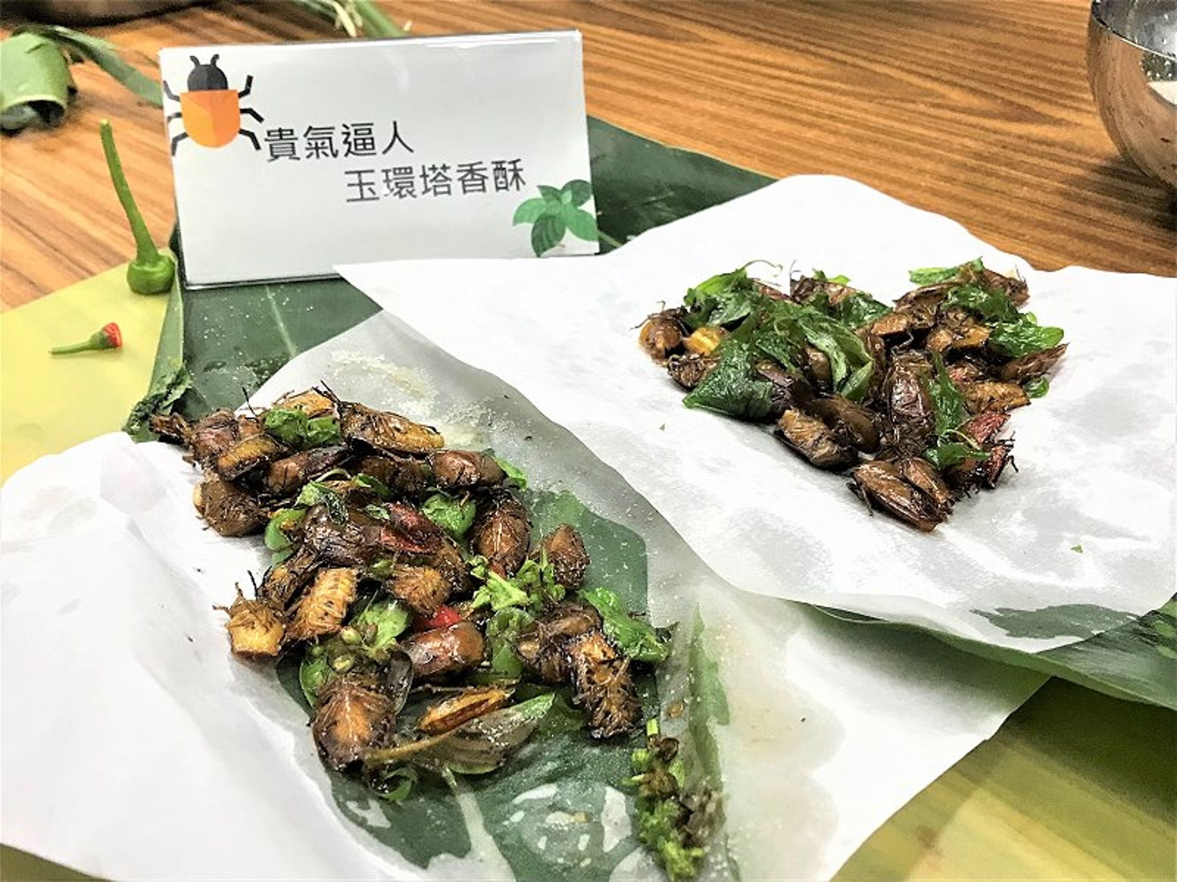 林業署日前舉辦「呷蟲王者」活動，現場有進行油炸荔枝椿象，遭民眾檢舉。（林業及自然保育署提供）