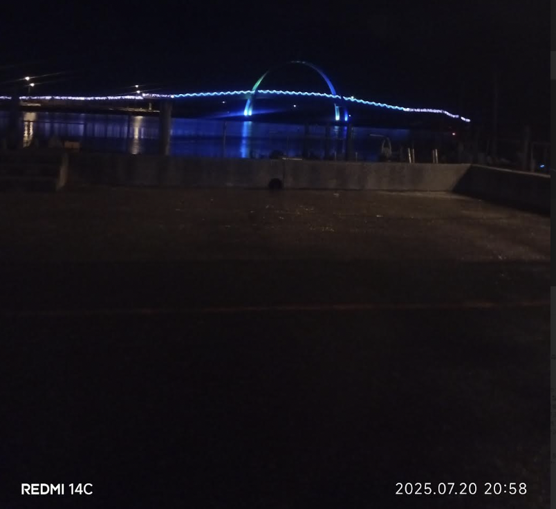 20日晚間8點58分，林男拍下遠方王功漁港夜景和附近璀璨燈飾牆，作為人生最後留影。（韓女提供）