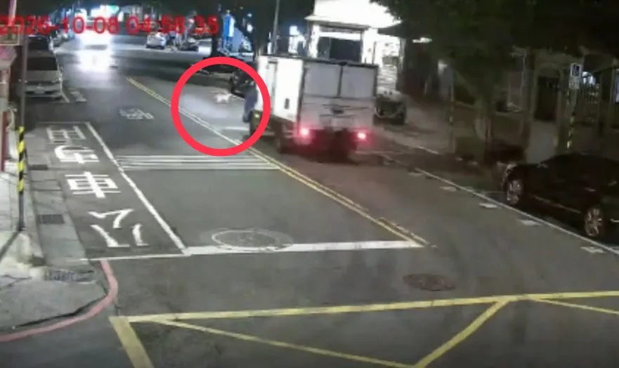 有片／為了閃避貓咪…新店大貨車失控撞對向3車2人受傷　肇事貓快閃離場畫面曝 
