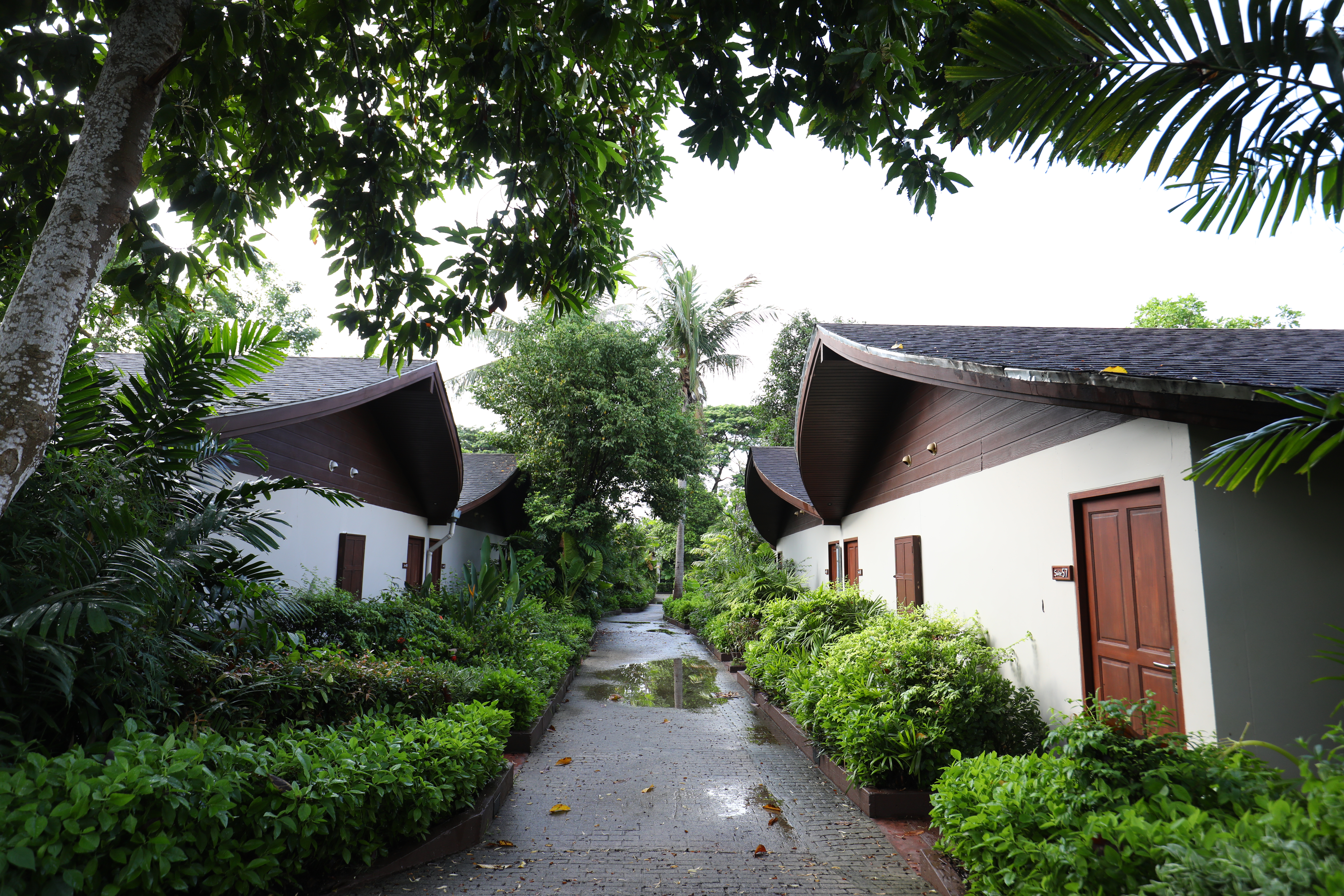 Barceló Coconut Island共有258間套房與Villa，每戶各自獨立。