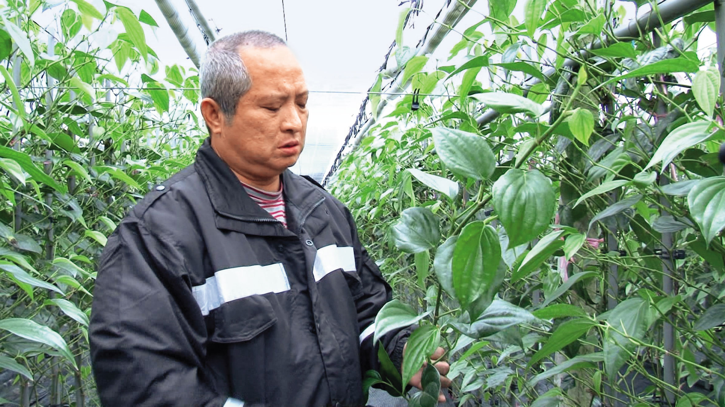 李泰安今年5月出獄之後，讓曾經轟動全台的「南迴搞軌案」再度引起關注。（東森新聞提供）