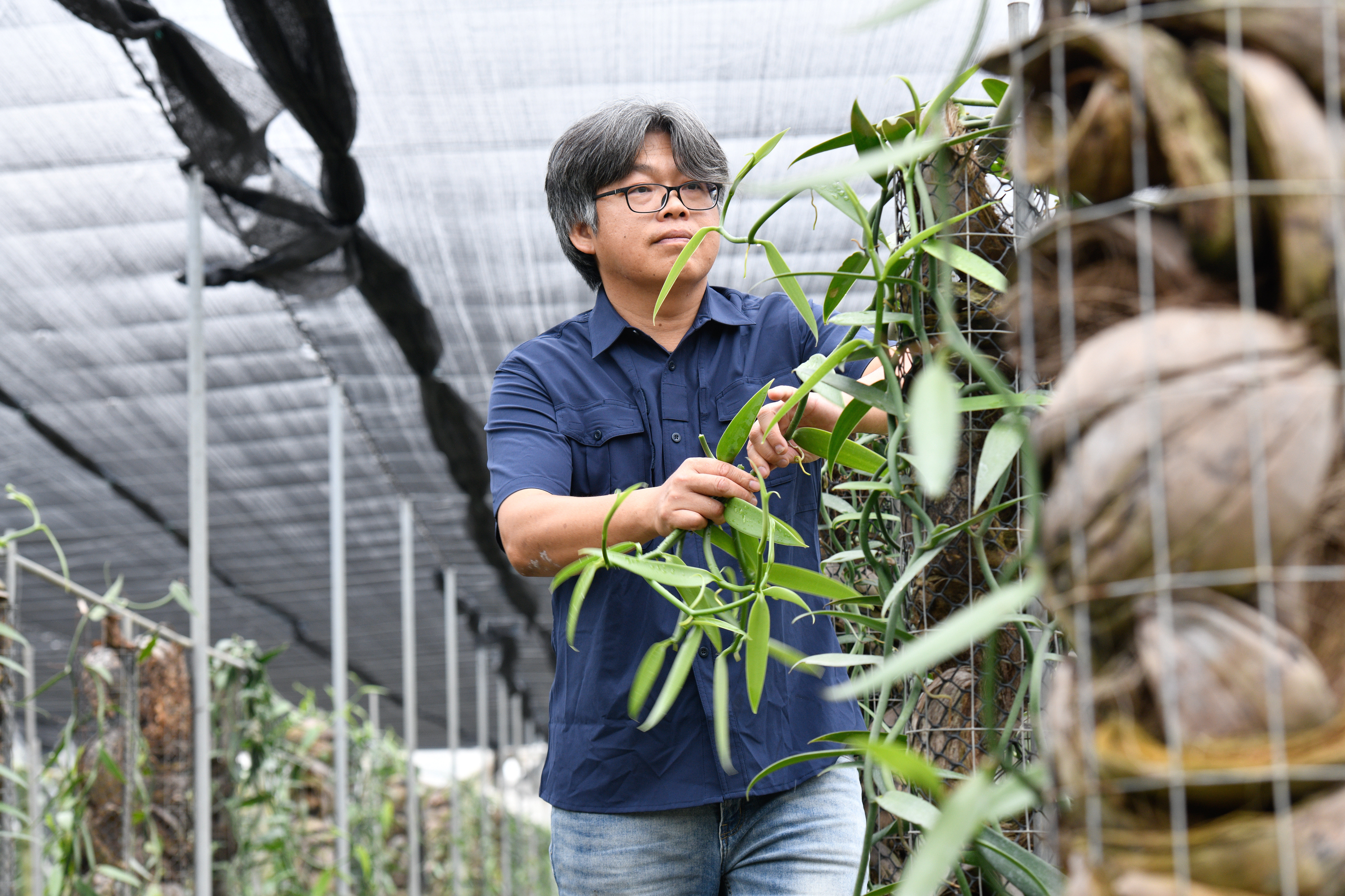 半線香草莊園主人劉煌基。